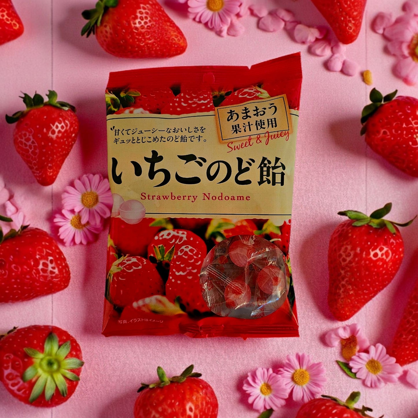 Pine Japanese Strawberry & Herb Throat Soothing Candy 2.4oz