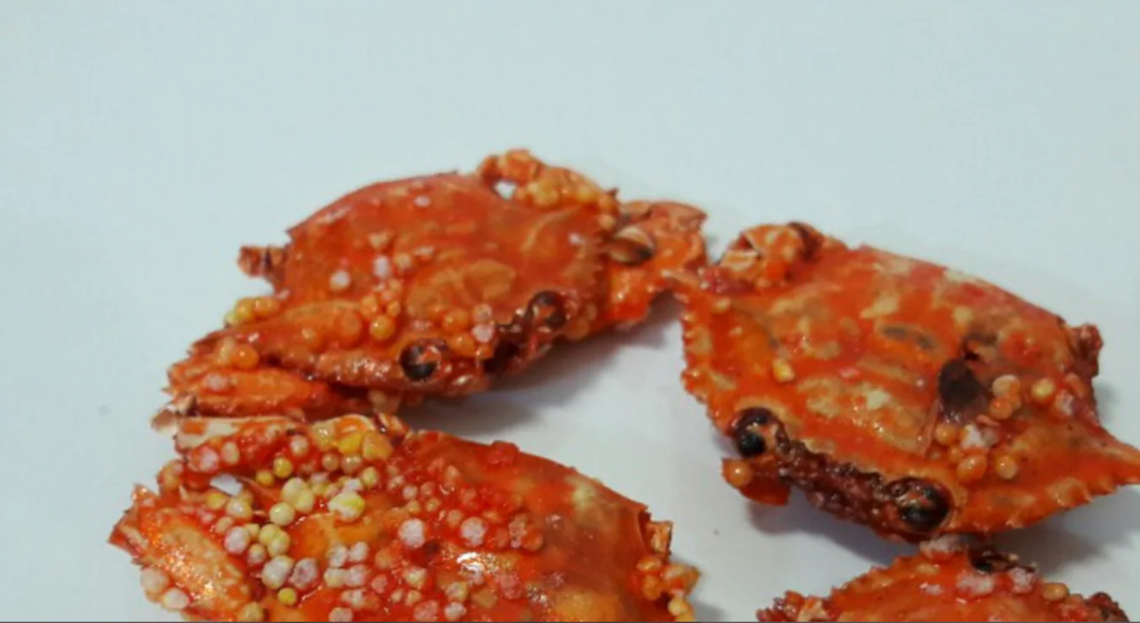 Japanese Mini Crab With Fish Egg Snack-Okabe Tamago Kani 蟹仔小食 40g (1.4oz)