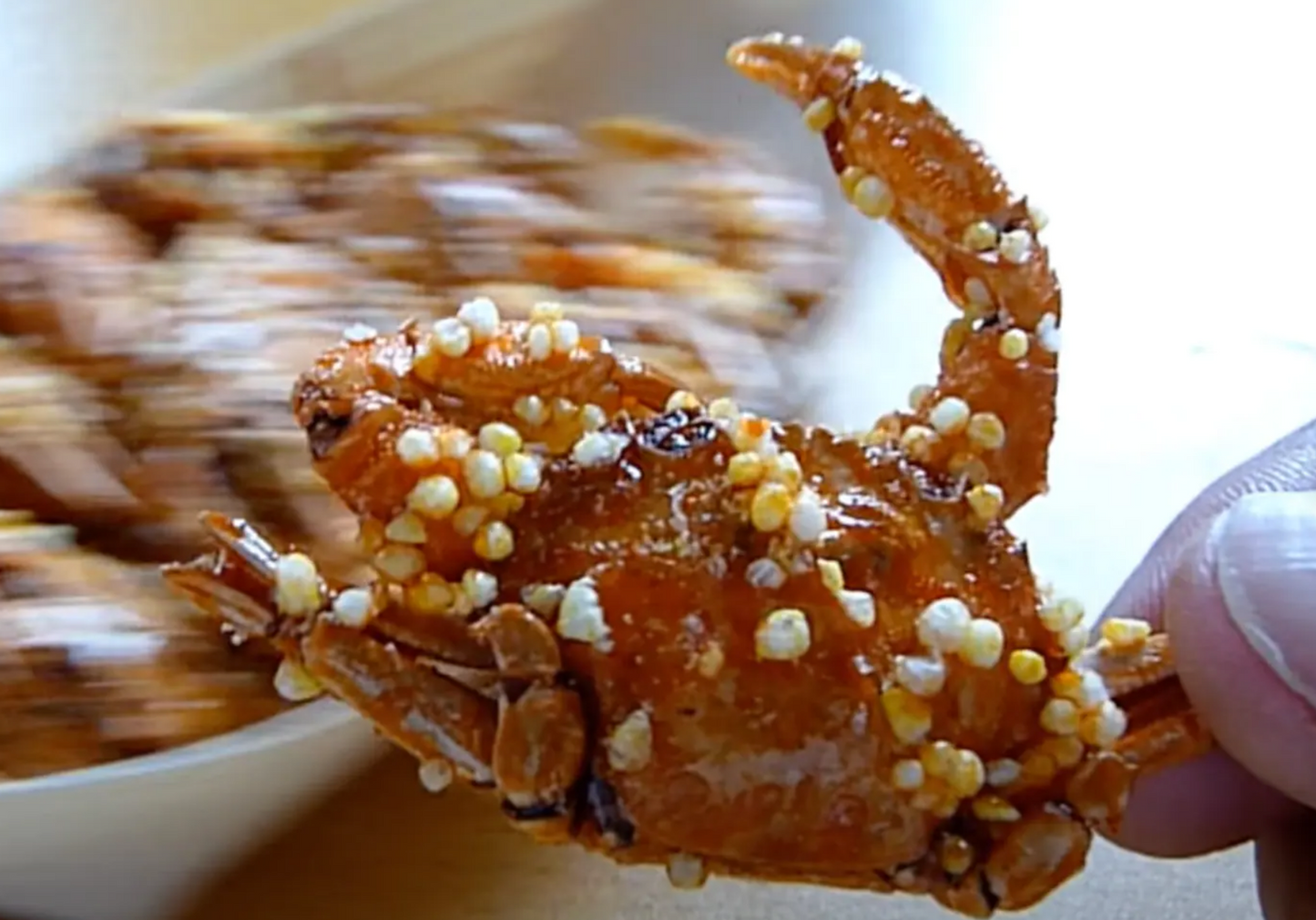 Japanese Mini Crab With Fish Egg Snack-Okabe Tamago Kani 蟹仔小食 40g (1.4oz)