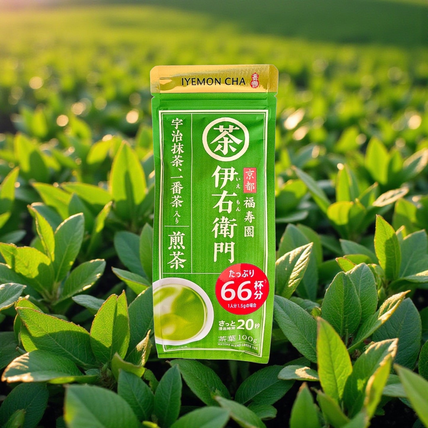 Japanese Green Tea IYEMON Cha Sencha with Matcha- 100g