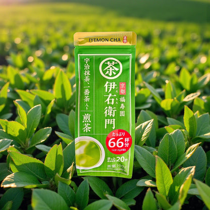 Premium Japanese IYEMON Sencha Loose Kyoto Matcha Green Tea(100g)