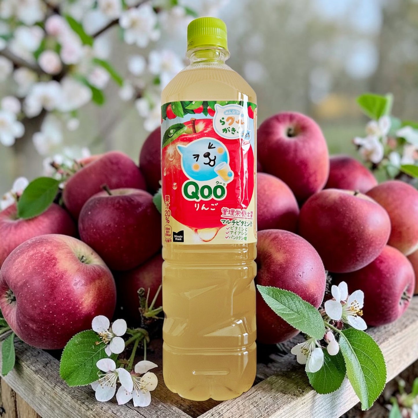 Coca Cola Minute Maid Japan Qoo Apple Juice Drink 950 ml