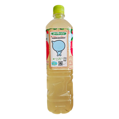 Coca Cola Minute Maid Japan Qoo Apple Juice Drink 950 ml