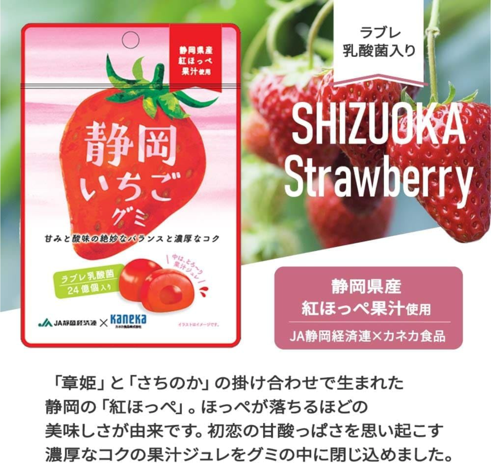 Kaneka Japanese Luxurious Fruits Gummy Shizuoka Strawberry Ichigo Gummy, 1.4oz