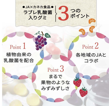 Pack of (3) Kaneka Japanese Fruit Juice Gummy Candies-Aomori Fuji Apple 1.4 oz