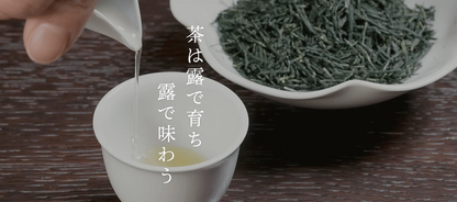 伊右衛門 IYEMON Cha Japanese Green Tea Combo Set (Houjicha,Genmaicha,Sencha) 100g ea