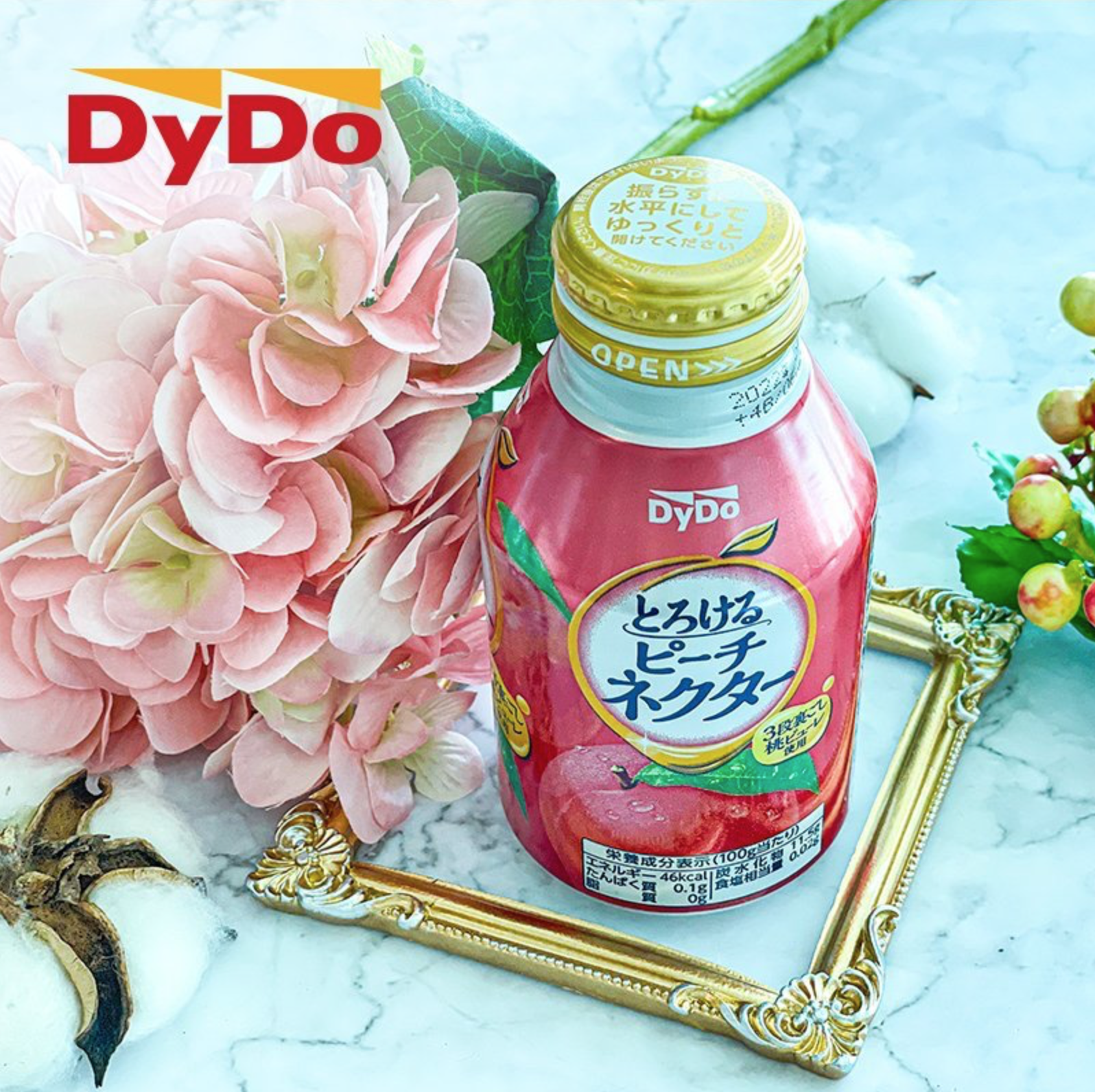 DyDo-Japanese Torokeru Peach Nectar Drink (270g) x 6 Bottles - Free Shipping !!