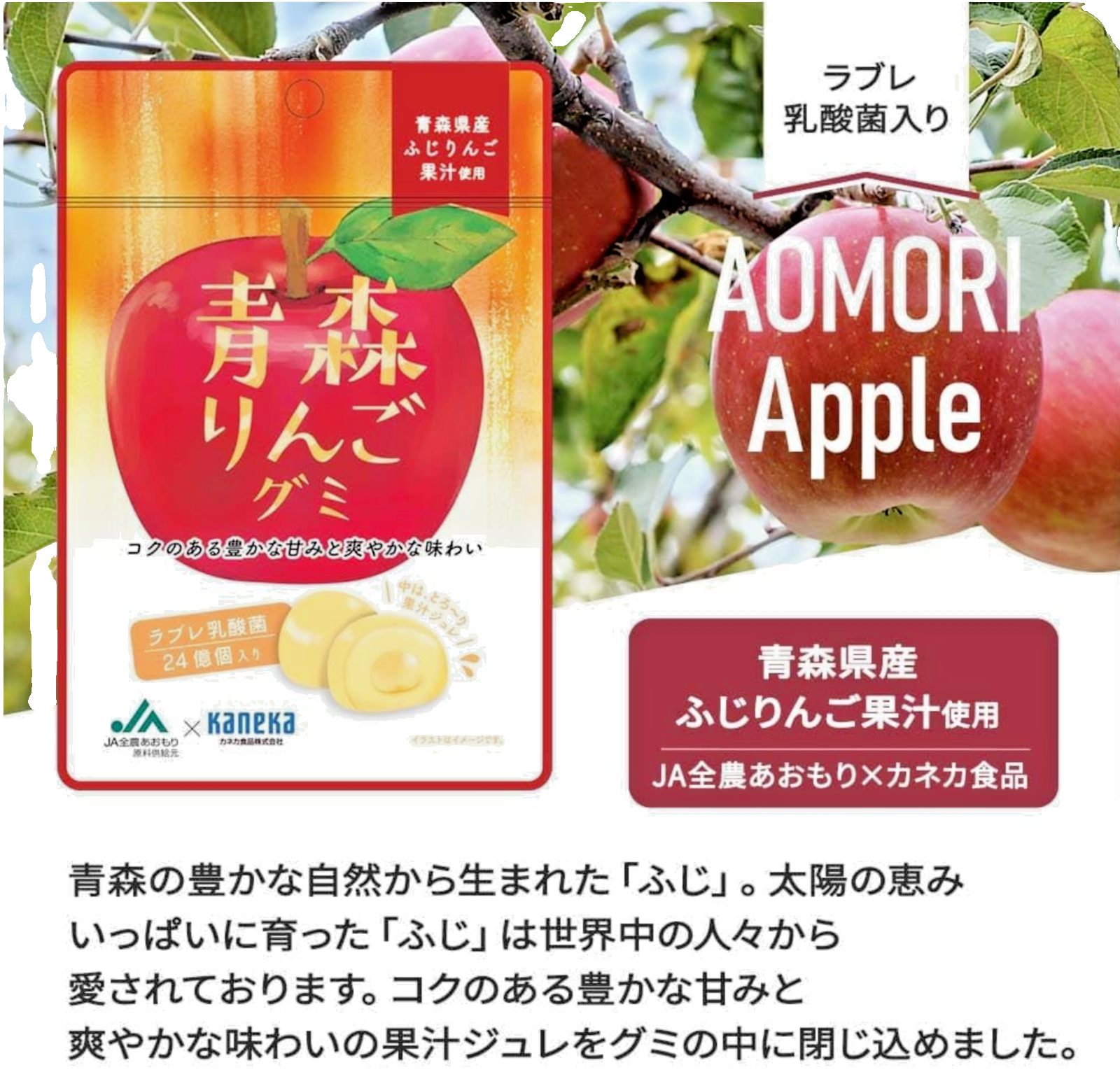 Pack of (3) Kaneka Japanese Fruit Juice Gummy Candies-Aomori Fuji Apple 1.4 oz