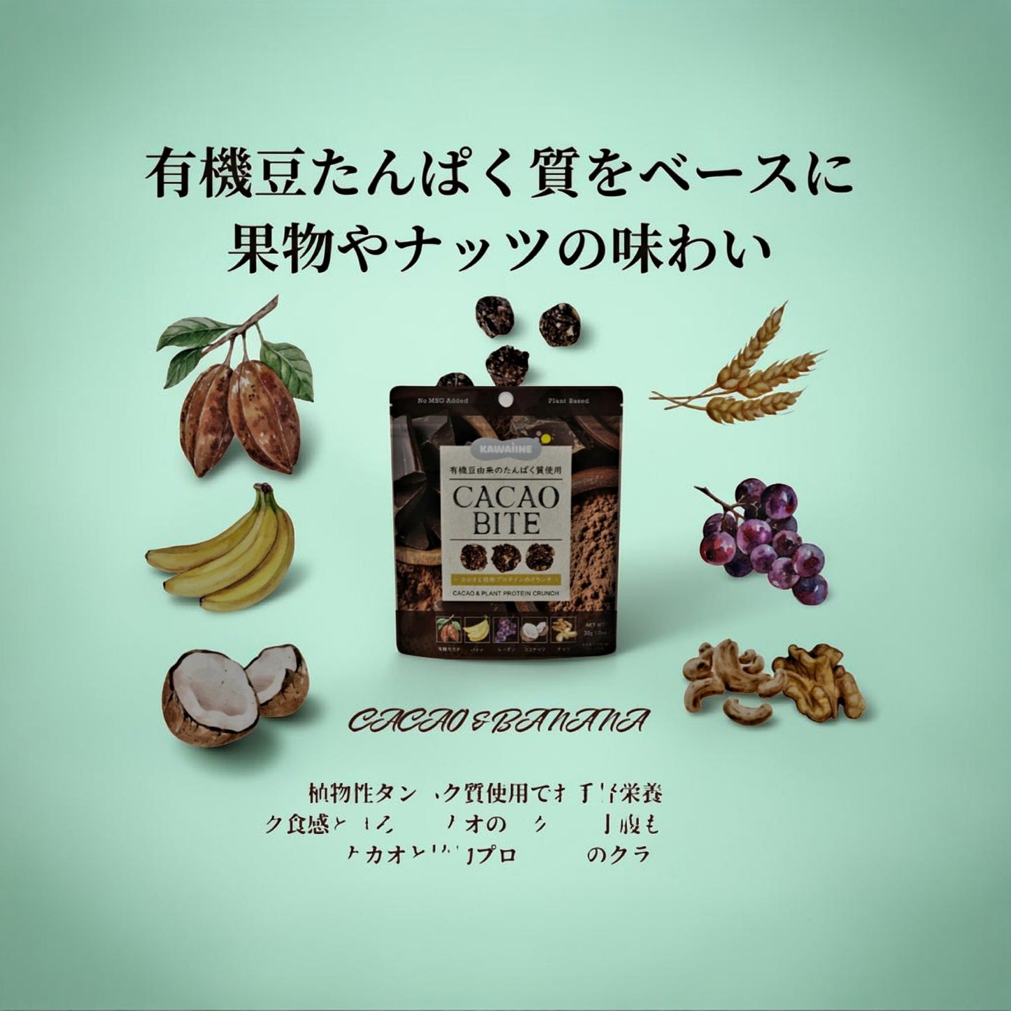 KAWÀINE Japan - Cacao Bite - Cacao & Plant Protein Crunch 30g