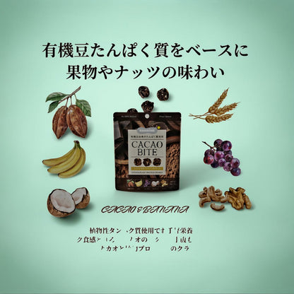 KAWÀINE Japan - Cacao Bite - Cacao & Plant Protein Crunch 30g